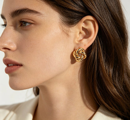 Arete leo