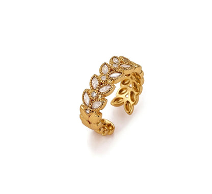 Anillo Brillos