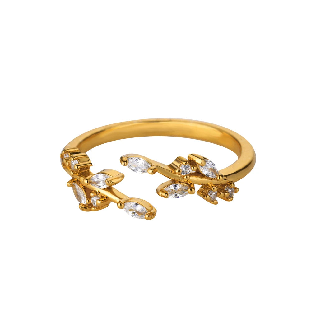 Anillo Escalas